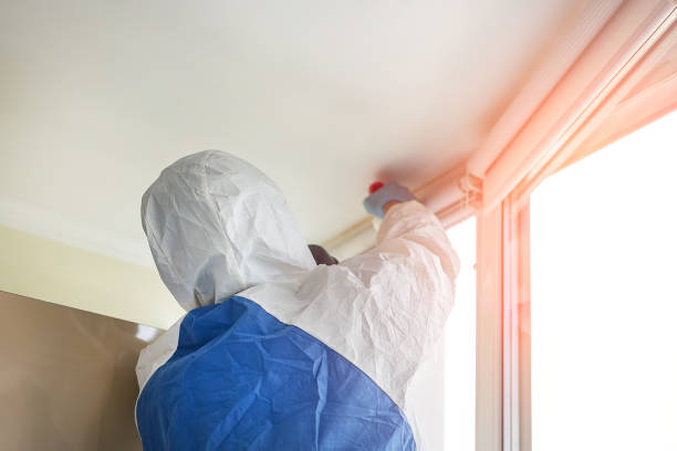 Why You Should Choose Our Mold Remediation Services in Marengo, IL