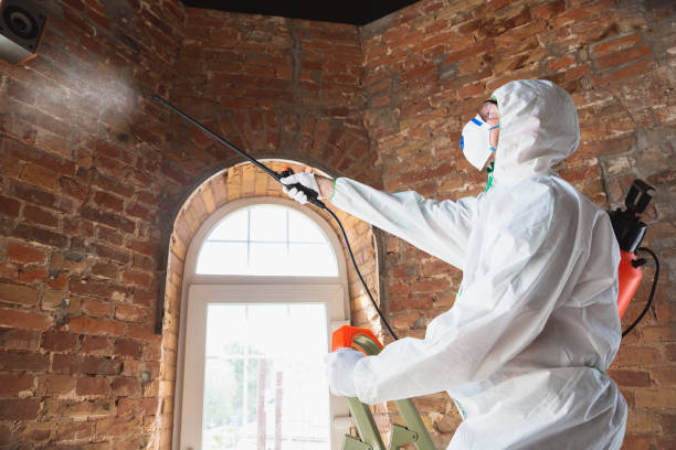 Mold Remediation for Vacation Homes in Marengo, IL