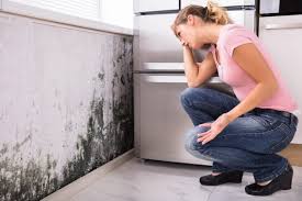 Mold Documentation for Insurance Claims in Marengo, IL